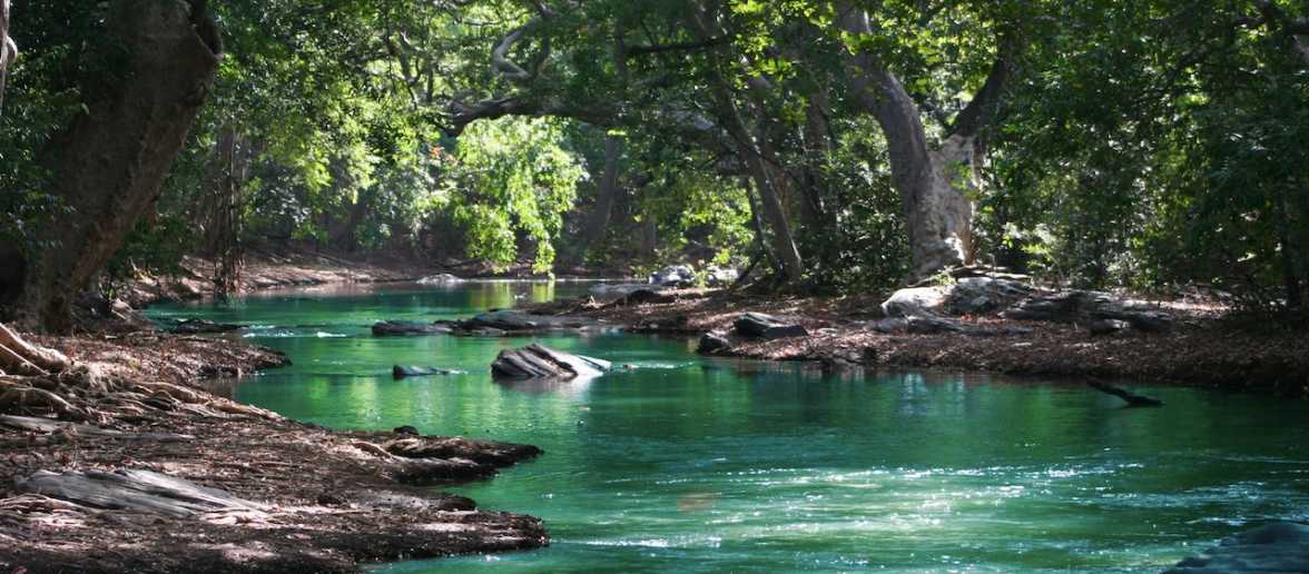 Wat is de langste rivier ter wereld