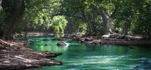 Wat is de langste rivier ter wereld