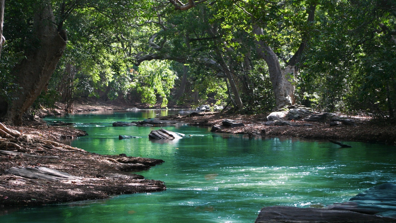 Dit is de langste rivier ter wereld