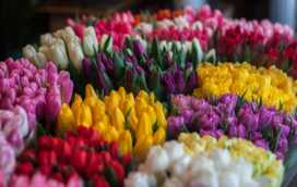 Zo wordt kwaliteitsbehoud gewaarborgd bij het vervoeren van bloemen