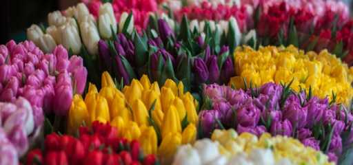 Zo wordt kwaliteitsbehoud gewaarborgd bij het vervoeren van bloemen