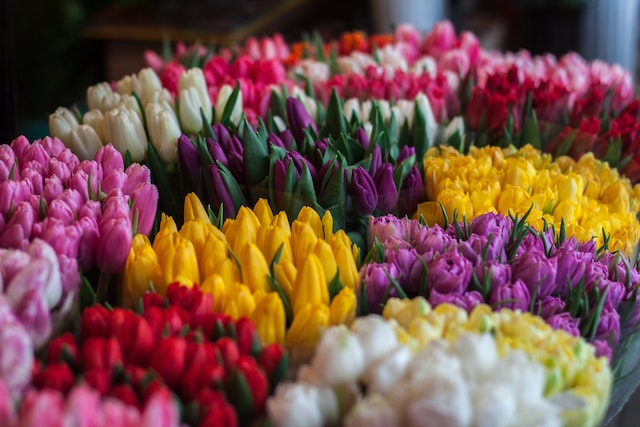 Zo wordt kwaliteitsbehoud gewaarborgd bij het vervoeren van bloemen