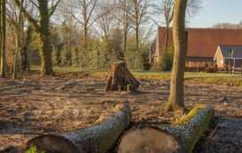 rest hout