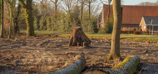 rest hout
